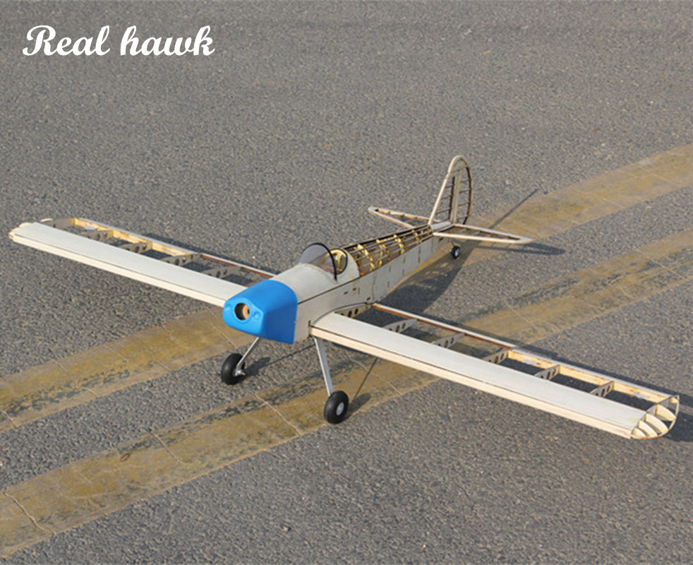 RC AirPlanes Laser Cut Balsa W - Laser Cut Wooden Model Kit Assembly 评论和价格